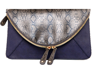 Reptile Flap Clutch