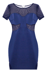Sheer Panel Mini Dress