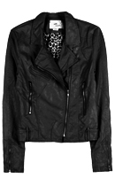 Cool Nights Moto Jacket
