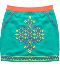 Embroidered Mini Skirt
