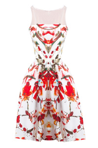 BB Dakota Morgan Dress