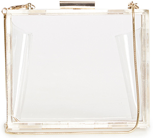 Mini Lucite Box Clutch