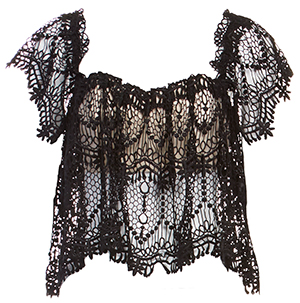 Stone Cold Fox Lace Tube Top