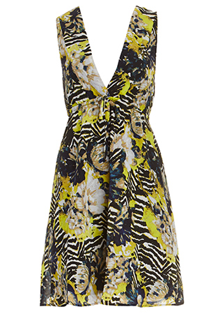 BB Dakota Leon Dress