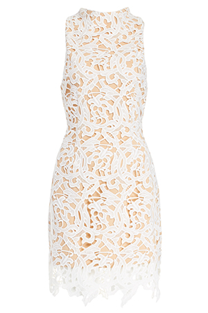 Cameo Lace Fallen Love Dress