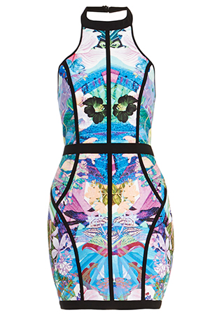 Finders Keepers Winter Bird Dress