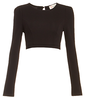 Hilton Long Sleeve Crop Top in Black | DAILYLOOK