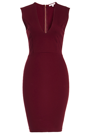 Plunge Neck Bodycon Dress