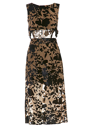 FLYNN SKYE Alyse Velvet Garden Dress