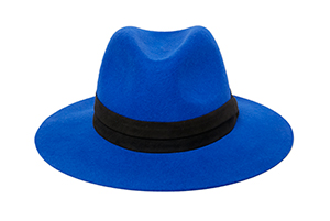 Project 6 Nurit Fedora