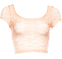 Floral Lace Crop Top