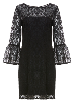 BB Dakota Fluttered Sleeve Lace Dress