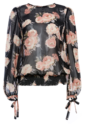 Long Blouson Sleeves Printed Top