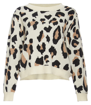 Leopard Print Crew Neck Sweater