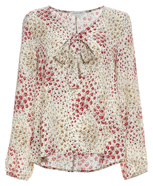 Neck Tie Long Sleeve Printed Top