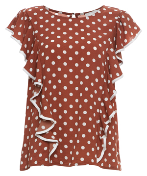 Short Sleeve Polka Dot Top