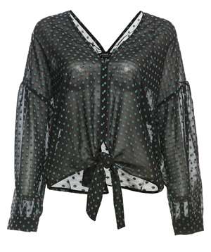 Semi-Sheer Front Tie Blouse