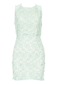 Floral Crochet Fitted Dress