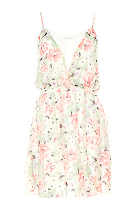 Net Insert Floral Dress