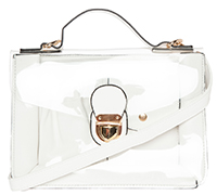 Clearly Chic Satchel