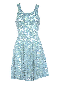 Floral Lace Skater Dress