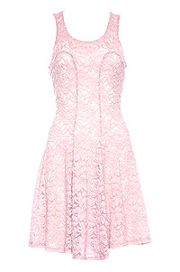Floral Lace Skater Dress