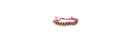 Pretty Skull Friendship Bracelet