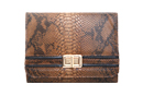 Faux Snake Skin Vintage Clutch