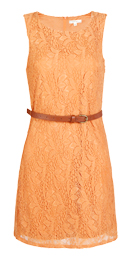Lace Shift Dress