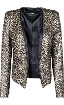 Sequin Long Lapel Blazer