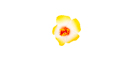 Flower Hair Clip