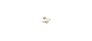 Embellished Stud Wrap Ring