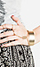 The Leader of the Pack Thumb 4
