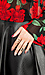 A Dozen Red Roses Thumb 6