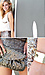Metallic Mondays by English Rose, Alythea, and Qupid Thumb 4