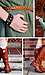 Rural English Mint Luxury Look by POL, Active, and Street Level Thumb 6