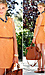 Mango Tango by Alythea and Breckelle's Thumb 2