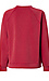 Scuba Pullover Sweatshirt Thumb 2