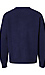 Apple Printed Sweater Thumb 2