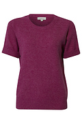 Short Sleeve Knit Top