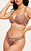 Paxton Medium Beige Plus Bra Thumb 3