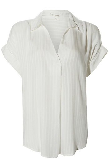 Short Sleeve Collared Blouse Slide 1