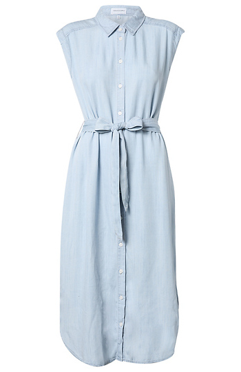 Button Down Denim Dress Slide 1