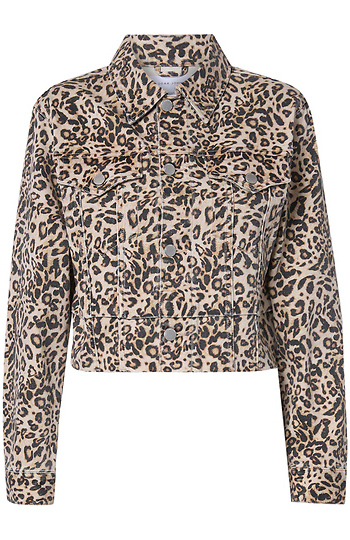 Leopard Jacket Slide 1