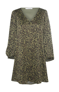 Leopard Print V-Neck Dress Slide 1