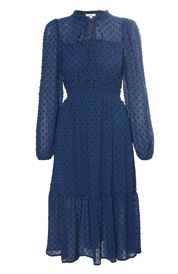 Swiss Dot Tiered Dress Slide 1