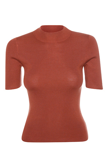 Mock Neck Short Sleeve knit top Slide 1