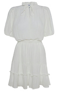 Folded Sleeve Ruffled Dress