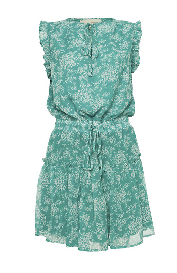 Floral Printed Mini Dress Slide 1