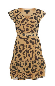 Leopard Mini Dress Slide 1